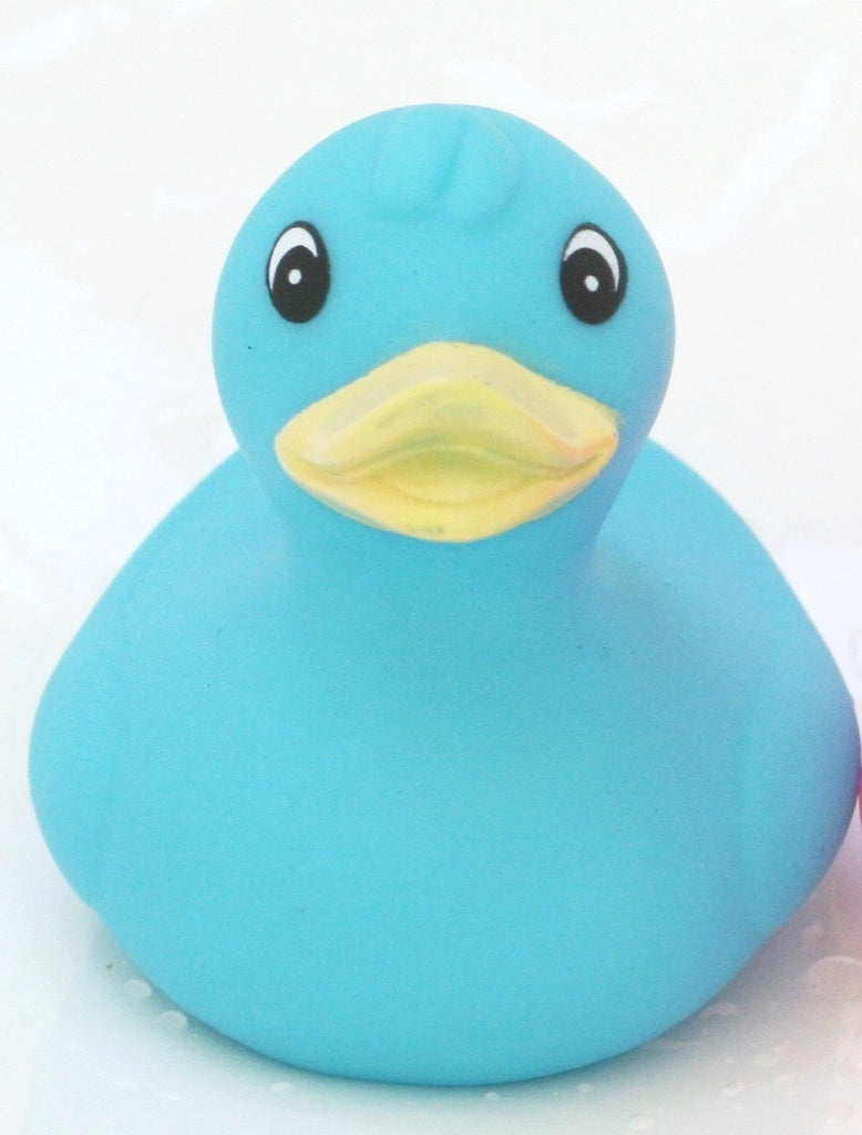 Derby Racing Duck BLUE