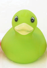 Derby Racing Duck GREEN